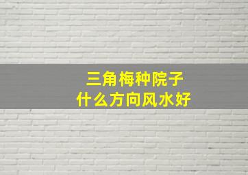 三角梅种院子什么方向风水好