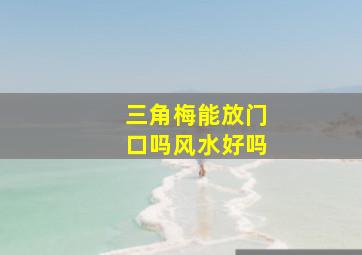 三角梅能放门口吗风水好吗