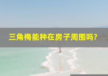 三角梅能种在房子周围吗?