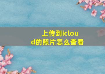 上传到icloud的照片怎么查看