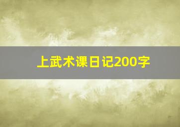 上武术课日记200字