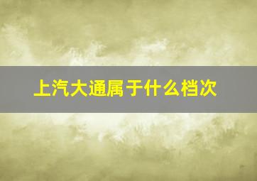 上汽大通属于什么档次