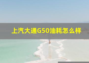 上汽大通G50油耗怎么样