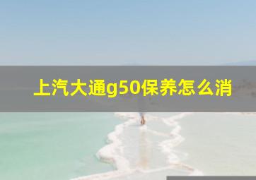 上汽大通g50保养怎么消