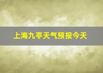 上海九亭天气预报今天