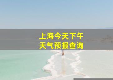 上海今天下午天气预报查询