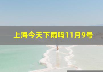 上海今天下雨吗11月9号