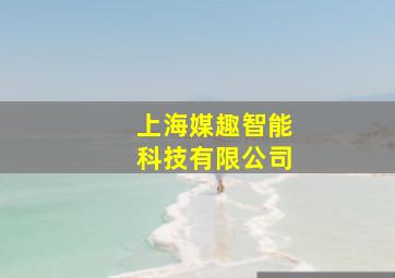 上海媒趣智能科技有限公司