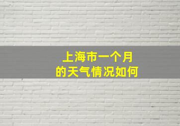 上海市一个月的天气情况如何