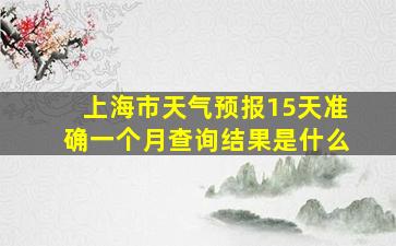 上海市天气预报15天准确一个月查询结果是什么