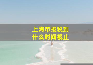 上海市报税到什么时间截止