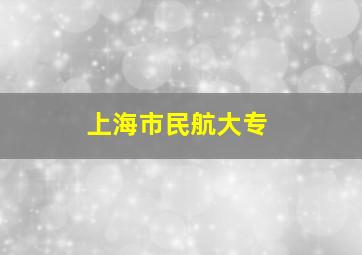 上海市民航大专