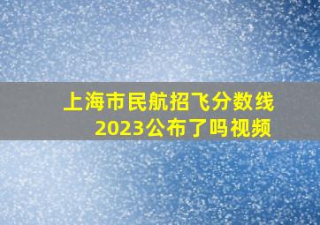 上海市民航招飞分数线2023公布了吗视频