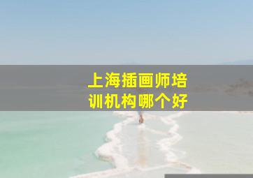 上海插画师培训机构哪个好