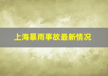 上海暴雨事故最新情况