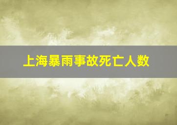 上海暴雨事故死亡人数