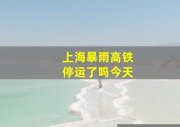 上海暴雨高铁停运了吗今天