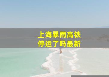 上海暴雨高铁停运了吗最新