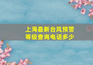 上海最新台风预警等级查询电话多少