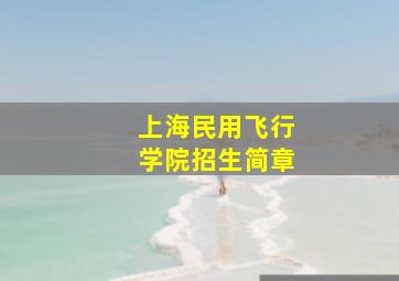 上海民用飞行学院招生简章