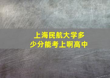 上海民航大学多少分能考上啊高中