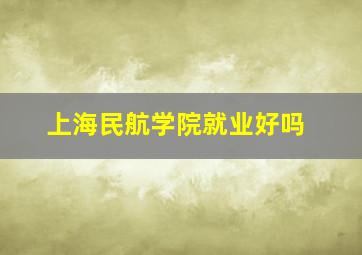 上海民航学院就业好吗