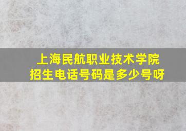 上海民航职业技术学院招生电话号码是多少号呀