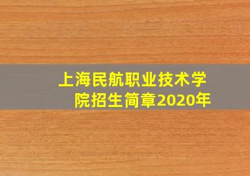 上海民航职业技术学院招生简章2020年