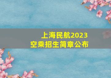 上海民航2023空乘招生简章公布