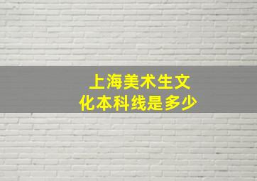 上海美术生文化本科线是多少