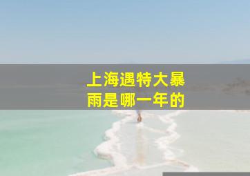 上海遇特大暴雨是哪一年的