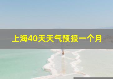 上海40天天气预报一个月