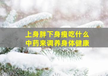 上身胖下身瘦吃什么中药来调养身体健康