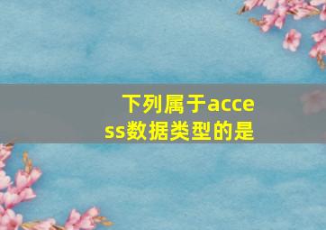 下列属于access数据类型的是