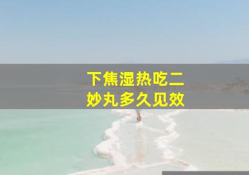 下焦湿热吃二妙丸多久见效