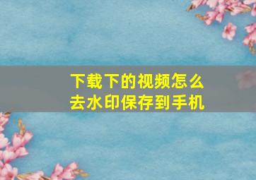 下载下的视频怎么去水印保存到手机