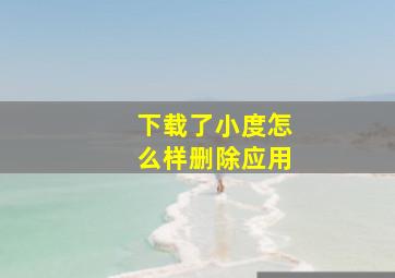 下载了小度怎么样删除应用