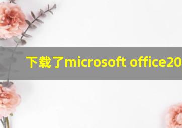 下载了microsoft office2010