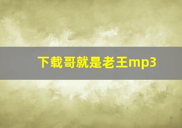 下载哥就是老王mp3