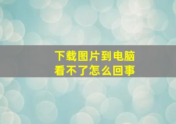 下载图片到电脑看不了怎么回事