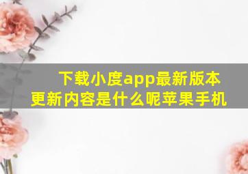 下载小度app最新版本更新内容是什么呢苹果手机