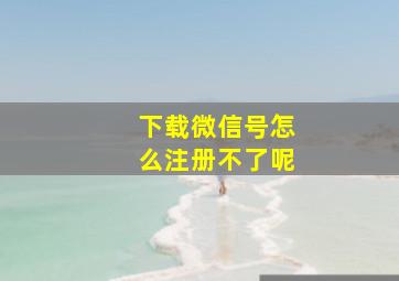 下载微信号怎么注册不了呢