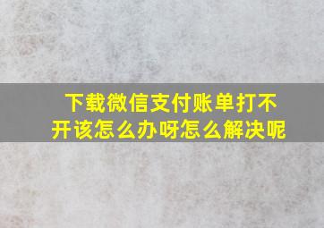 下载微信支付账单打不开该怎么办呀怎么解决呢