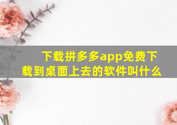 下载拼多多app免费下载到桌面上去的软件叫什么