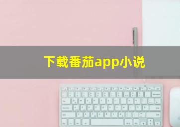 下载番茄app小说