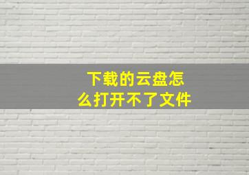 下载的云盘怎么打开不了文件