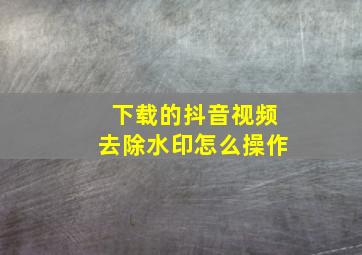 下载的抖音视频去除水印怎么操作