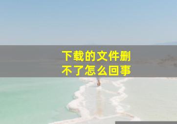 下载的文件删不了怎么回事