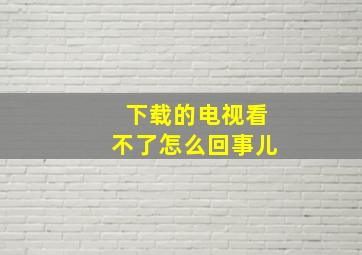 下载的电视看不了怎么回事儿