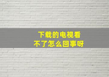 下载的电视看不了怎么回事呀